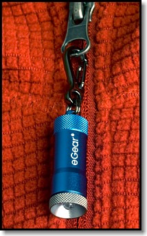 Doug Ritter eGear PICO Lite